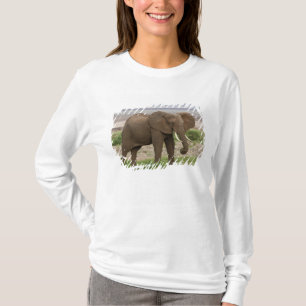 Camiseta África. Tanzania. Elefante en el Parque Nacional d