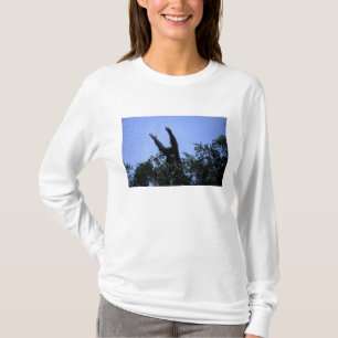 Camiseta África, Tanzania, Glitter alcanza volando
