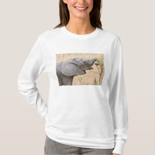 Camiseta África. Tanzania. Joven elefante en Tarangire
