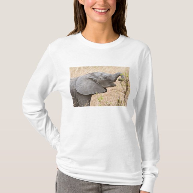 Camiseta África. Tanzania. Joven elefante en Tarangire (Anverso)