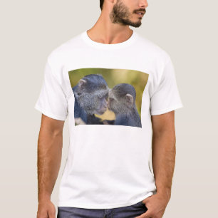 Camiseta África. Tanzania. Madre de mono azul con cría