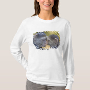 Camiseta África. Tanzania. Madre de mono azul con cría