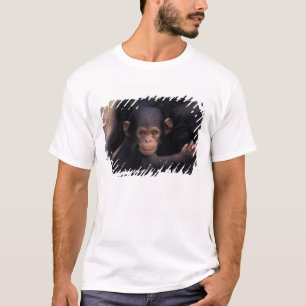 Camiseta África, Tanzania, Parque Nacional Gombe