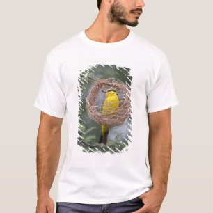 Camiseta África. Tanzania. Tejedor de cuello negro hembra