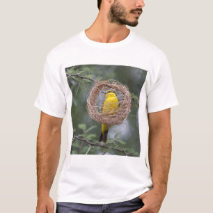 Camiseta África. Tanzania. Tejedor de cuello negro hembra