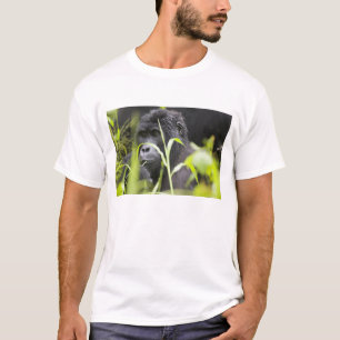 Camiseta África Uganda, Bwindi