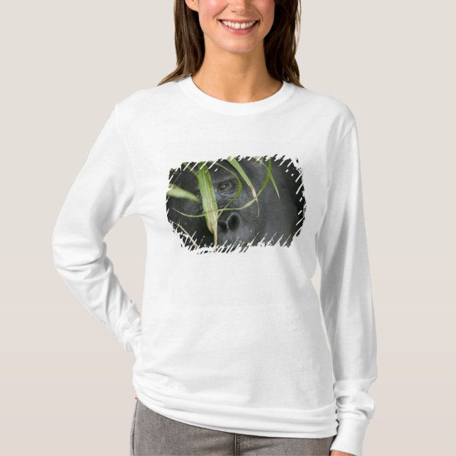 Camiseta África, Uganda, Bwindi (Anverso)