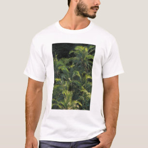 Camiseta África, Zambia, Parque Nacional Mosi-Oa-Tunya,