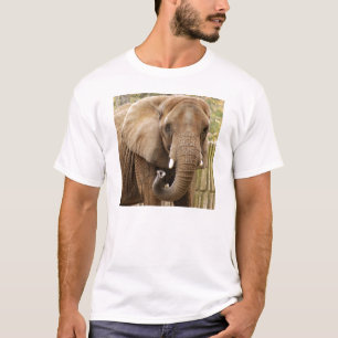Camiseta African_Elephant_008