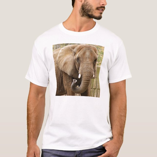 Camiseta African_Elephant_008 (Anverso)