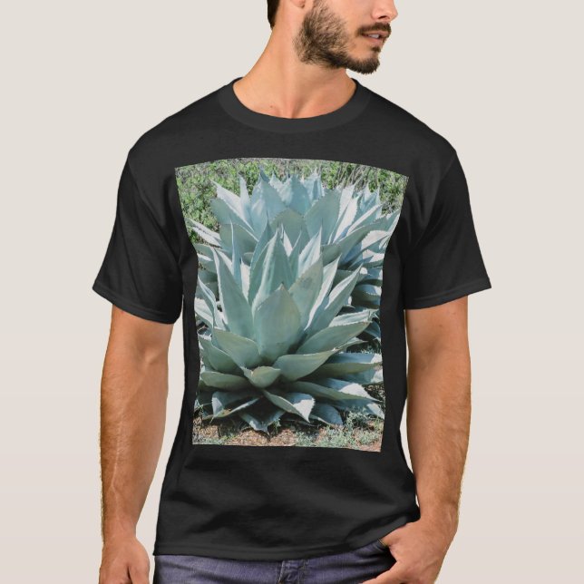 Camiseta Agave Suculento Plant Cactus Sabio verde (Anverso)