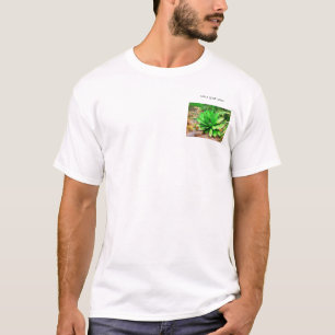 Camiseta Agavo - paseo en el jardín