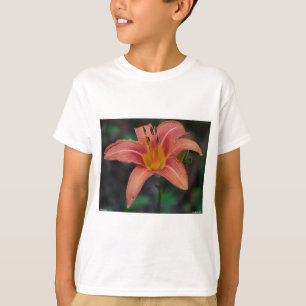 Camiseta Agradable Tawny Daylily Appary regalos