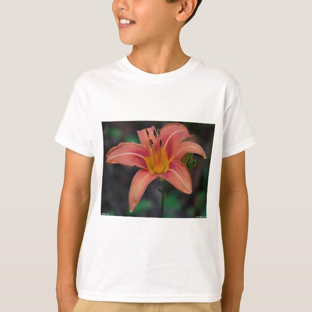 Camiseta Agradable Tawny Daylily Appary regalos (Anverso)