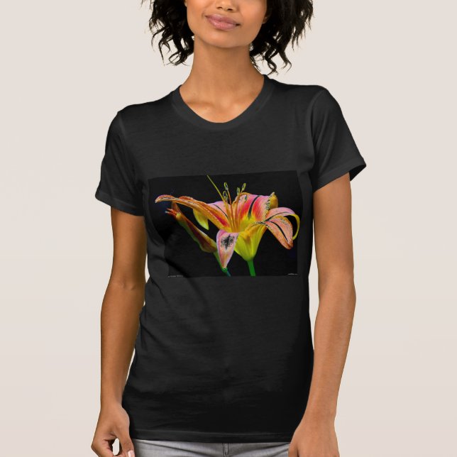 Camiseta Agradable Tawny Daylily II Aparatos y Regalos (Anverso)