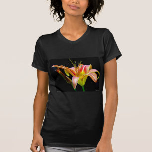 Camiseta Agradable Tawny Daylily II Aparatos y Regalos