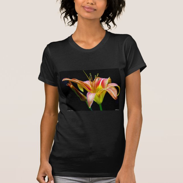 Camiseta Agradable Tawny Daylily II Aparatos y Regalos (Anverso)