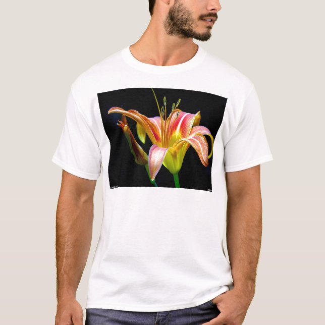 Camiseta Agradable Tawny Daylily II Aparatos y Regalos (Anverso)