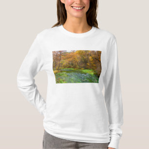 Camiseta Agua del otoño de la primavera del callejón