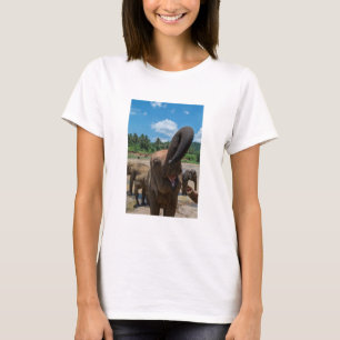 Camiseta Agua potable para elefantes, Sri Lanka