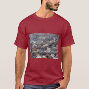 Camiseta Aguas de la naturaleza Skirt Tee