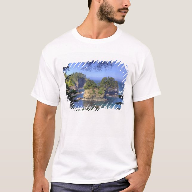 Camiseta Aguas marinas, tierras tribales de la nación Makah (Anverso)