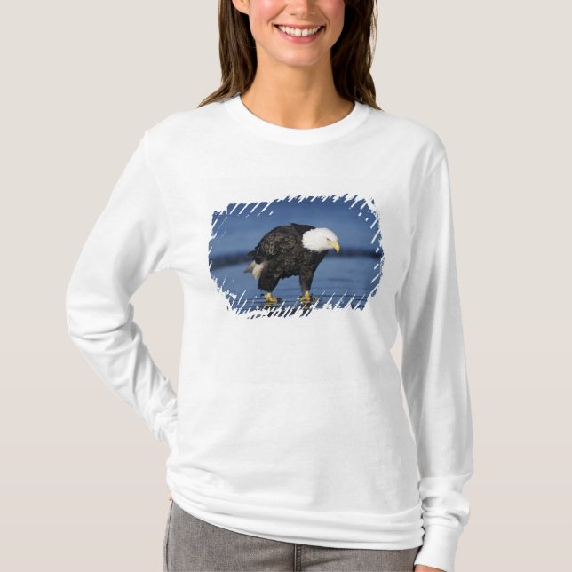 Camiseta Águila calva (Anverso)