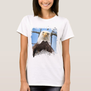 Camiseta Águila calva divertida mira fijamente vida silvest