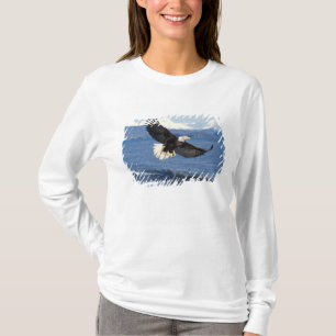 Camiseta águila calva, Haliaeetus leuccocephalus, en vuelo