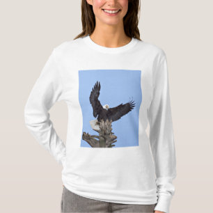 Camiseta Águila calva (Haliaeetus leucocephalus) con alas