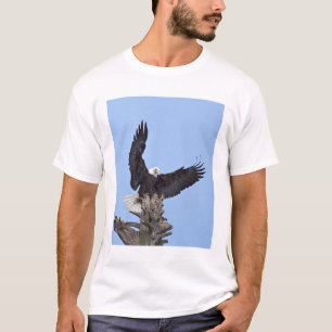 Camiseta Águila calva (Haliaeetus leucocephalus) con alas