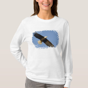 Camiseta Águila calva, Haliaeetus leucocephalus, Homer, 4