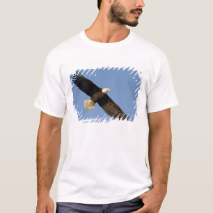 Camiseta Águila calva, Haliaeetus leucocephalus, Homer, 4