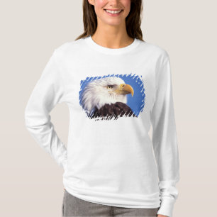 Camiseta águila calva, Haliaeetus leucocephalus, primer pla