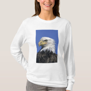 Camiseta Águila calva, (Haliaeetus leucocephalus), salvaje,