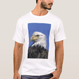 Camiseta Águila calva, (Haliaeetus leucocephalus), salvaje,