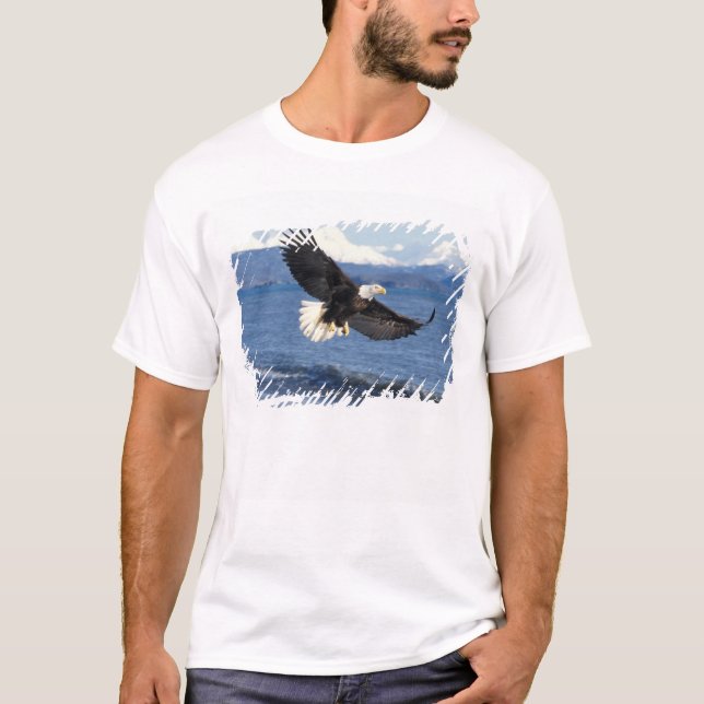 Camiseta águila calva, Haliaetus leuccocephalus, en vuelo (Anverso)