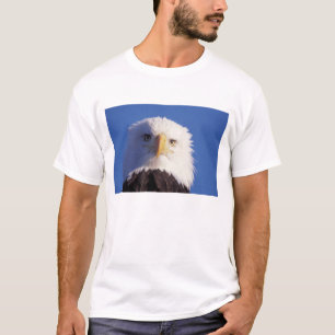 Camiseta águila calva, Haliaetus leucocephalus, tiro en la 