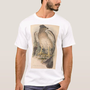 Camiseta Águila de Nueva Guinea, adulto