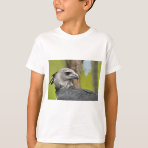Camiseta Águila Harpía 1.JPG