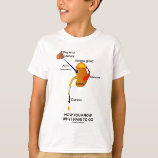 Camiseta Ahora usted sabe porqué tengo que ir (la diuresis)