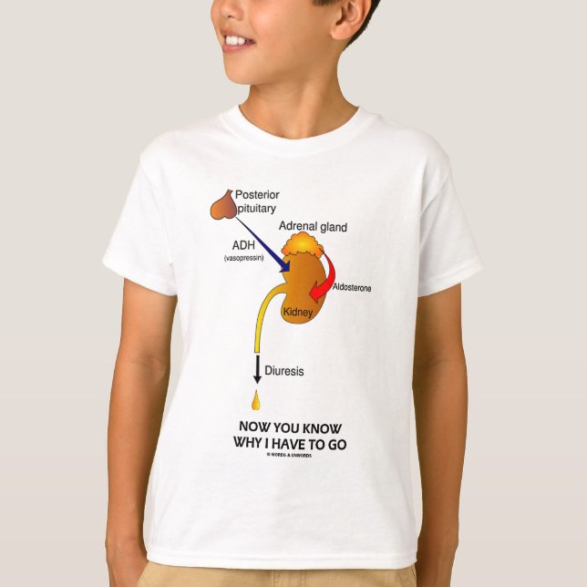 Camiseta Ahora usted sabe porqué tengo que ir (la diuresis) (Anverso)