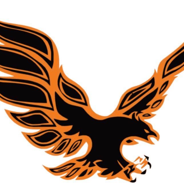 Camiseta Aigle orange (Subido por el creador)