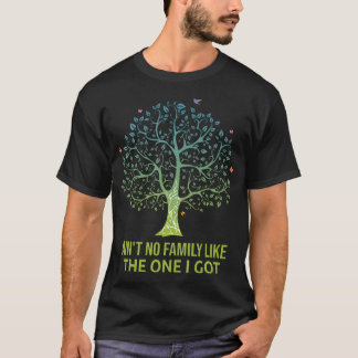 Camiseta Ain't No Family Like The One I Got Family Reunion