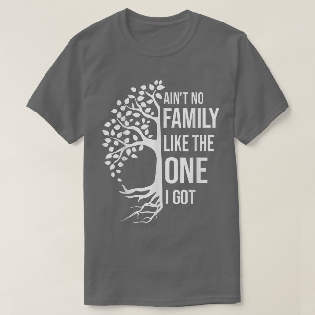 Camiseta Aint No Family Like The One I Got Funny Family Reu (Diseño del anverso)