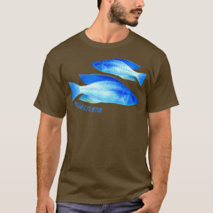 Camiseta Aire Amargo de Malawi Cichlid Compressiceps Acuari