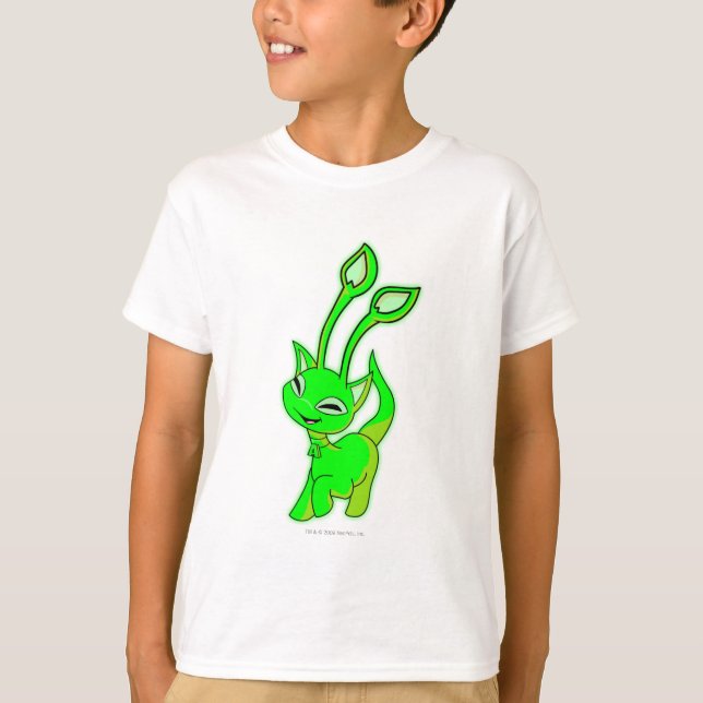 Camiseta Aisha Gslow (Anverso)