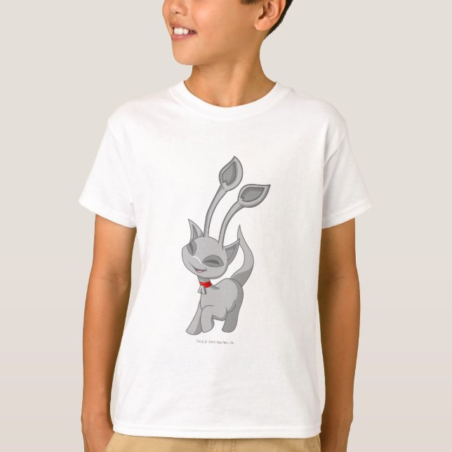 Camiseta Aisha Silver (Anverso)