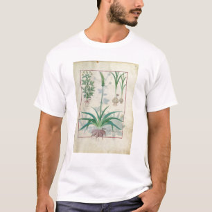 Camiseta Ajo y otras plantas