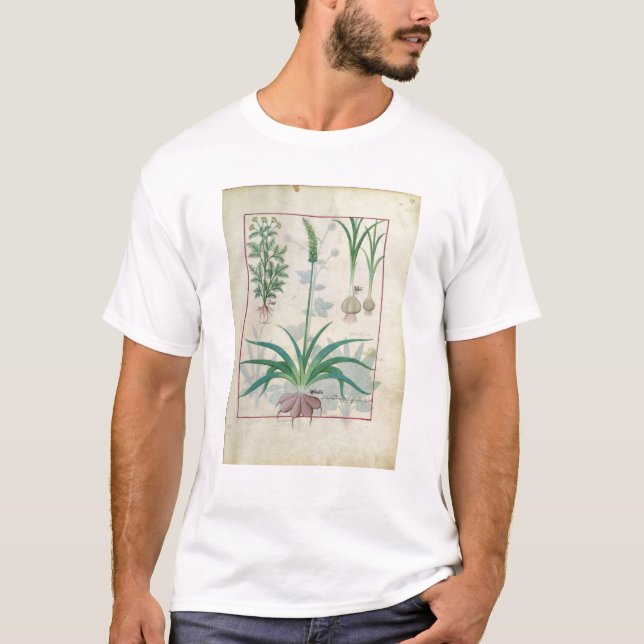 Camiseta Ajo y otras plantas (Anverso)